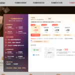 有道翻译会员是什么？